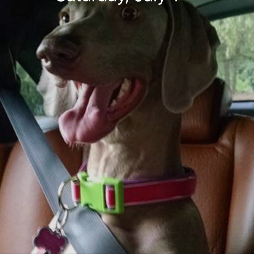 Meet your Posher, Vivian